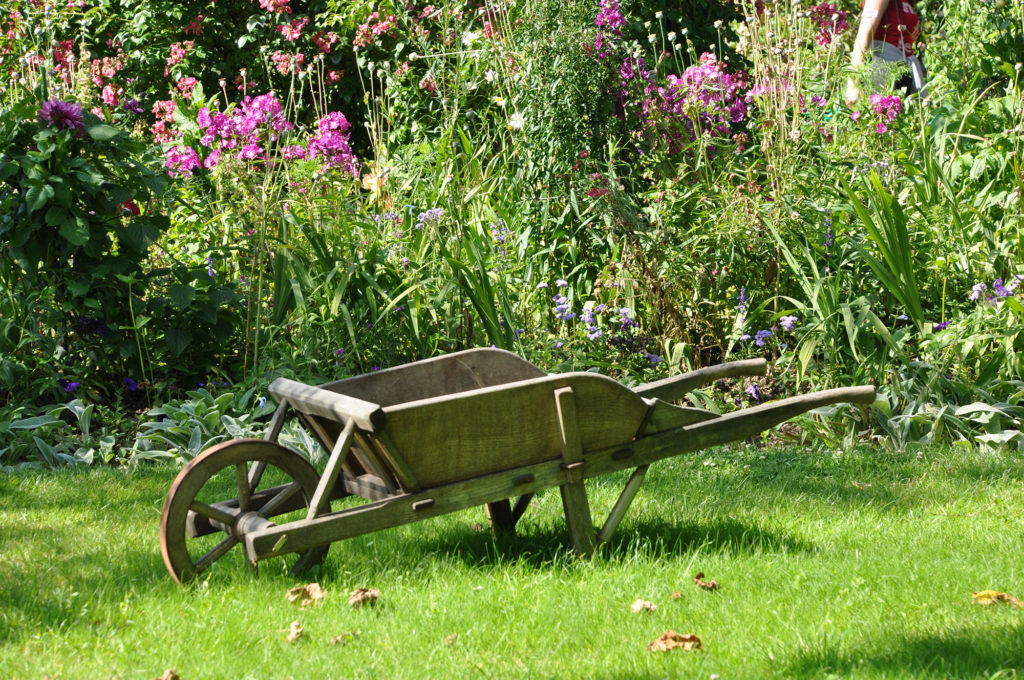 Brouette au fond du jardin