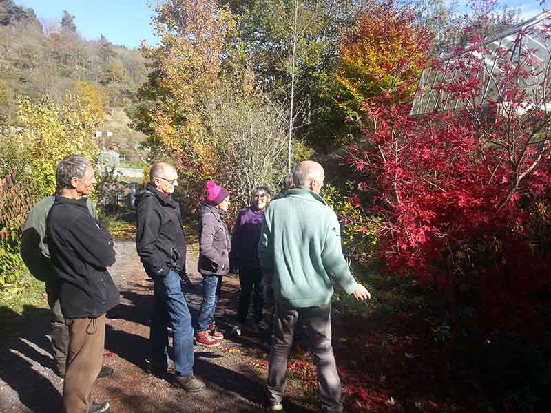 Taille des Arbres à noyaux du 25 octobre 2019 - Accueil