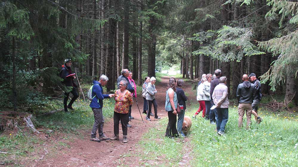 Sortie Sylviculture en foret de Pradelles