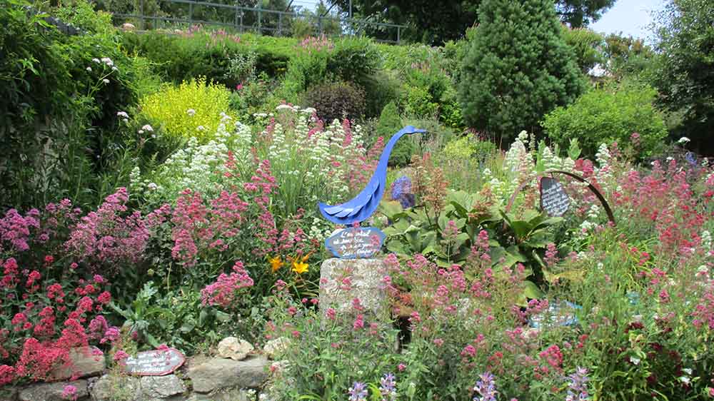 Sortie 2020 à La Panouse chez Didier Baduel - Haut de jardin