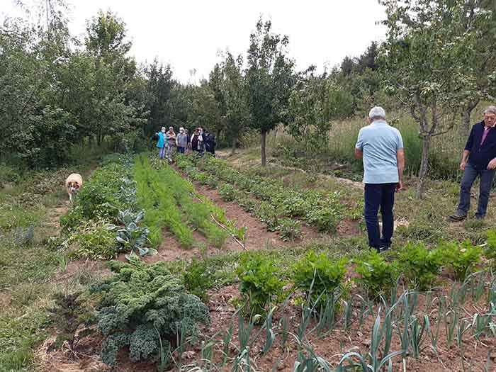 Sortie du 15 juillet chez Christian Lyotard à Pradelles - Le potager