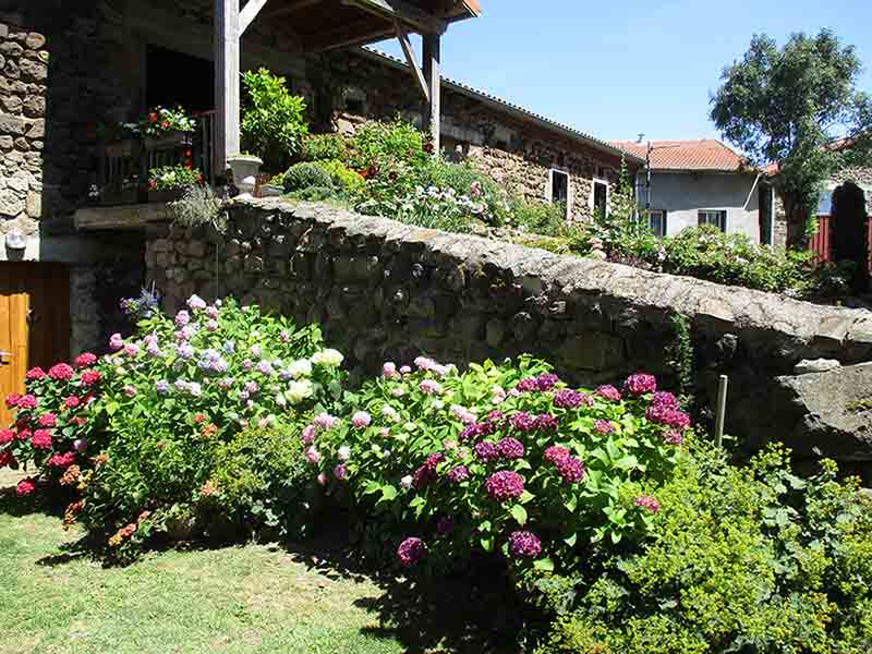 Visite au jardin des Uffernets du dimanche 17 juillet 2022 - La rampe fleurie