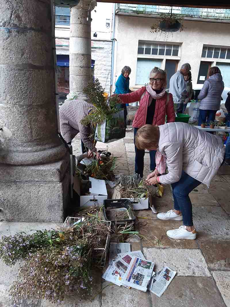 Troc de plantes et de graines d’automne du 08 octobre 2022