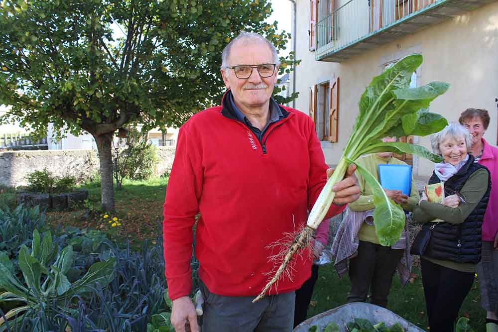 Culture de l’endive, atelier du 22 octobre