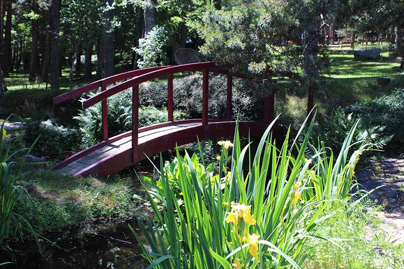 Jardin des Castanier(s) "Lou Bes" à St-Flour de Mercoire