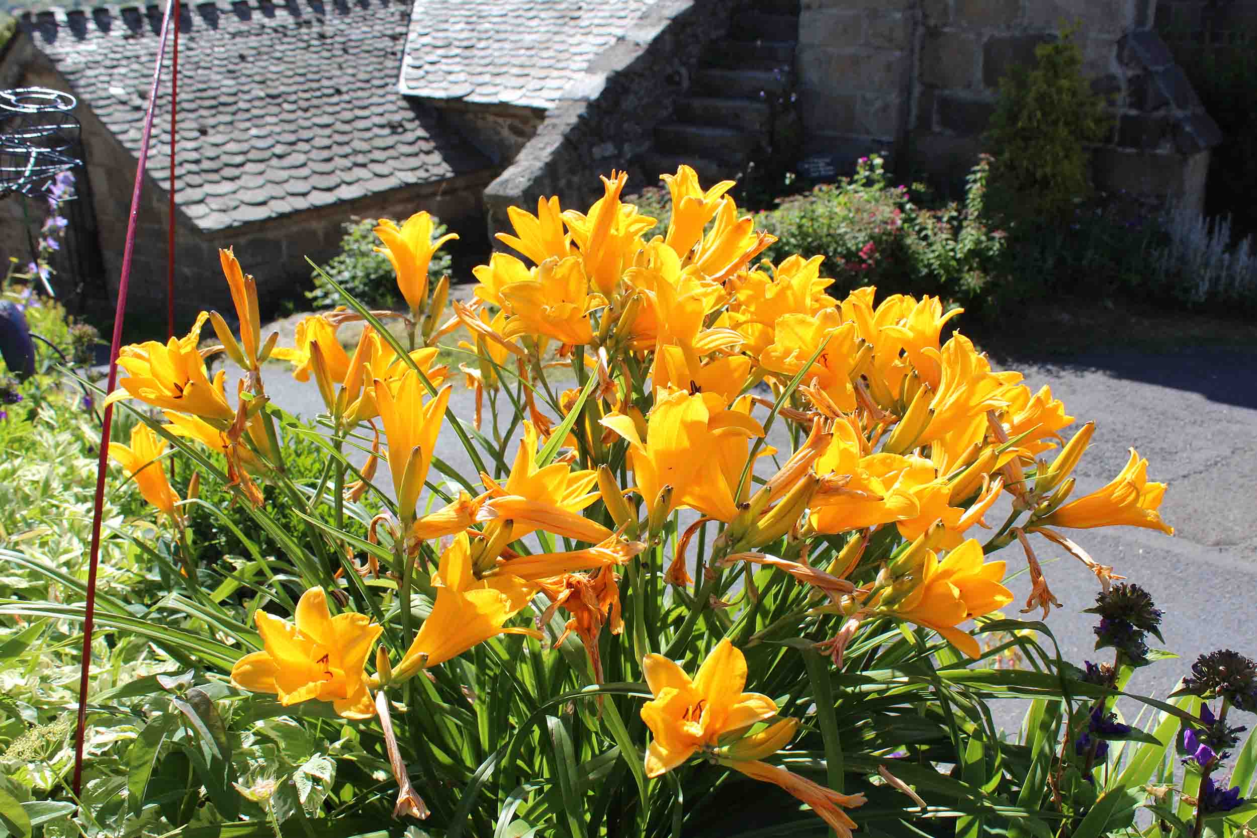 Village de La Panouse - Vue du jardin de Didier Baduel