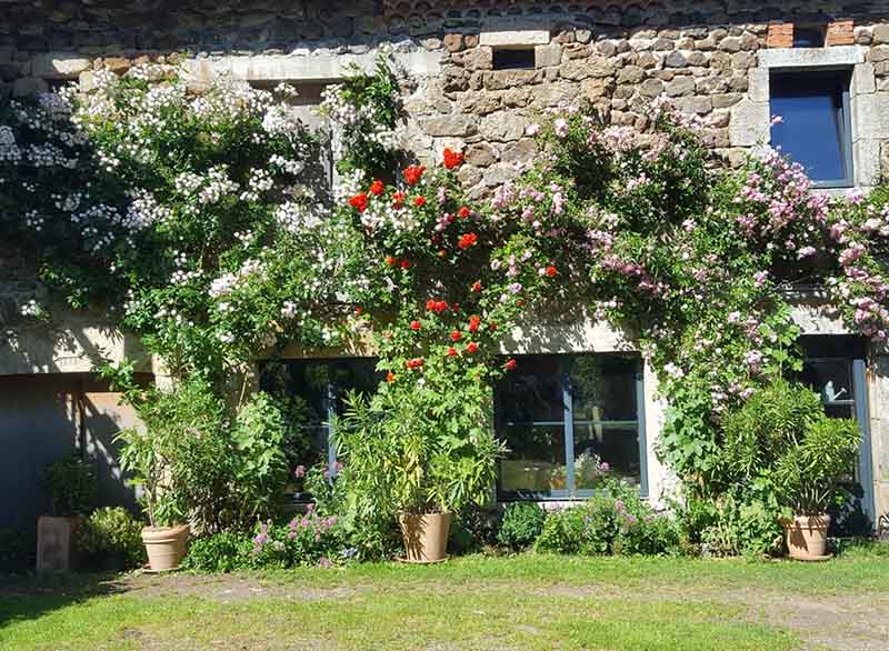 Visite aux jardins des Uffernets du samedi 08 juillet 2023 - 2