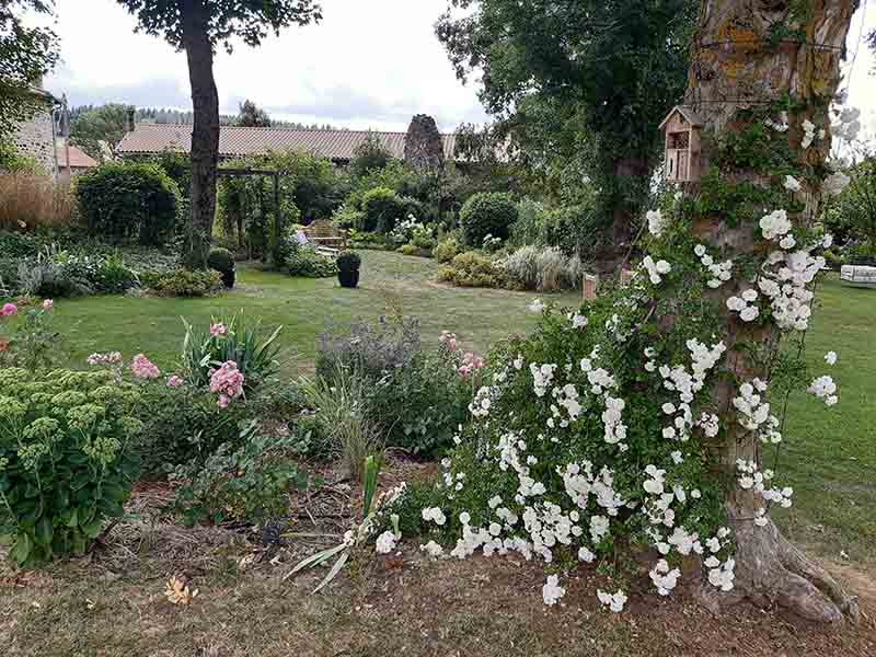 Visite n°2 au jardin des Uffernets