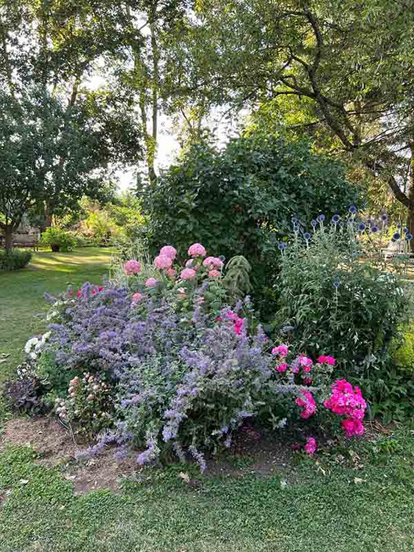 Visite n°3 au jardin des Uffernets