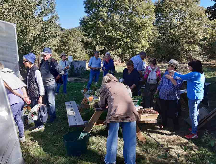 Troc d’automne de plantes et de graines