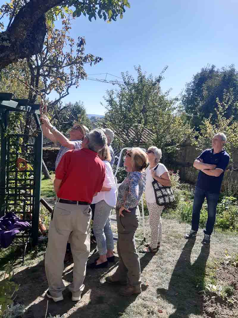 Atelier Taille d’automne des arbres à noyaux