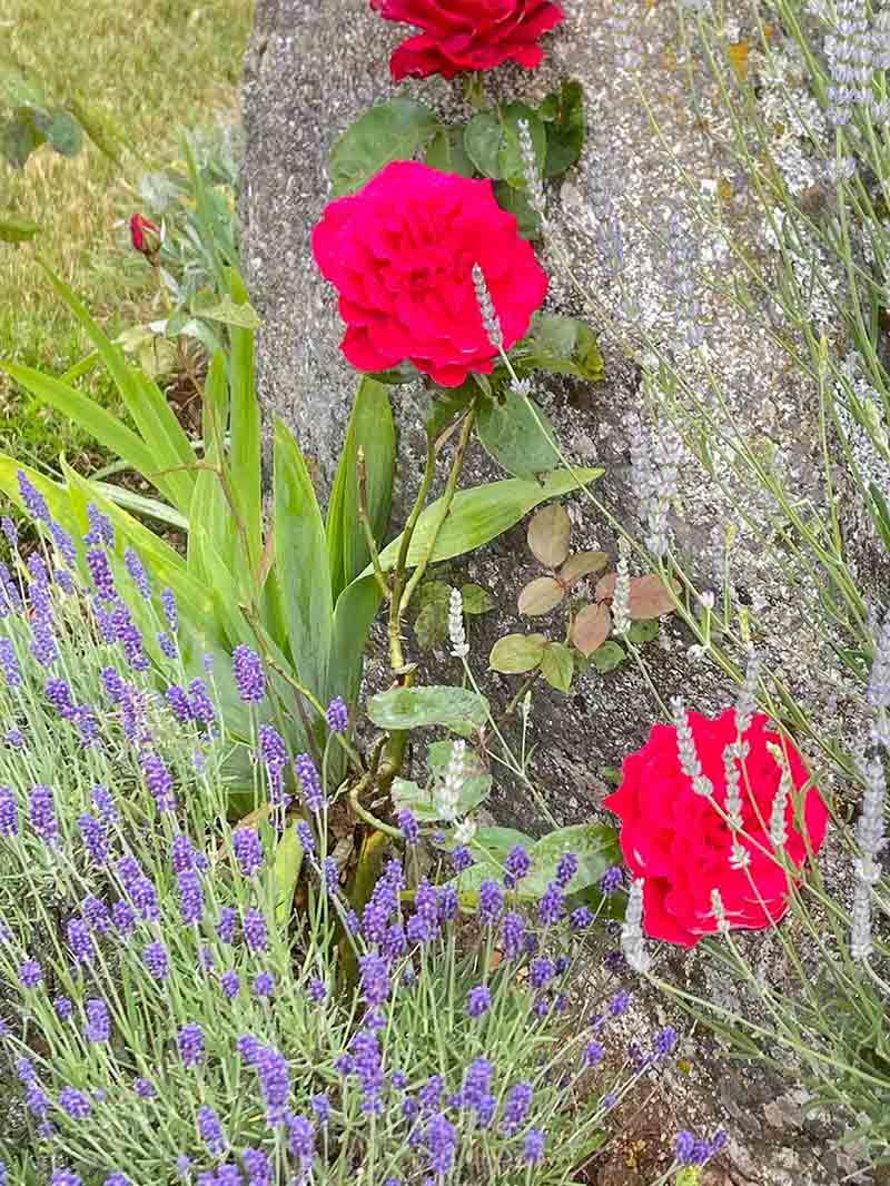 Concours des plus beaux jardins de Naussac-Fontanes