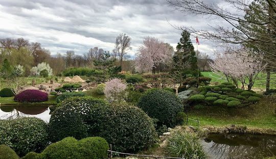Sortie au jardin zen d’Erik Borja