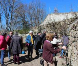 c'est parti ! Atelier 2019 sur la taille des arbres à pépins - c'est parti !