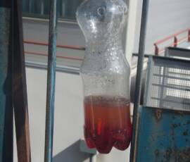 Partenariat pédagogique avec le Collège St-Pierre / St-Paul Partenariat pédagogique avec le Collège St-Pierre / St-Paul - Piège à insectes avant son installation