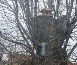Partenariat pédagogique avec le Collège St-Pierre / St-Paul Partenariat pédagogique avec le Collège St-Pierre / St-Paul - Déploiement de pièges à insectes & nichoirs