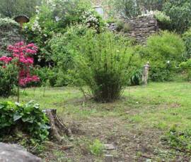 Le Château et les jardins du Pin - Début de la visite du jardin