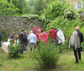 Le Château et les jardins du Pin - Découverte du clos