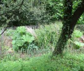 Le Château et les jardins du Pin - En contrebas à côté du ruisseau