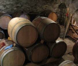 Vinaigrerie ardéchoise d'Aizac - La Cave