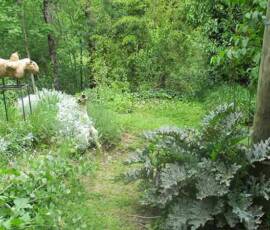 Le Château et les jardins du Pin - La Nature sauvage est proche