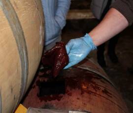 Vinaigrerie ardéchoise d'Aizac - La "mère" de vinaigre