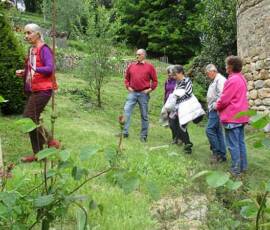 Le Château et les jardins du Pin - La visite du jardin se termine