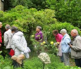Le Château et les jardins du Pin - La visite se poursuit