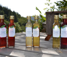 Sortie à Aizac du 287 mai 2019 - Les vinaigres