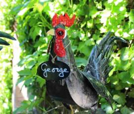 Chavaniac - La Fayette Edition 2019 - Le coq George