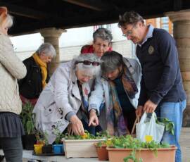 Troc de Graines et de Plants du samedi 25 mai 2019 Troc de Graines et de Plants du samedi 25 mai 2019 - puis on discute !