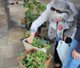 Troc de Graines et de Plants du samedi 25 mai 2019 Troc de Graines et de Plants du samedi 25 mai 2019 - et on touche !