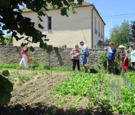 Atelier du samedi 30 juin 2019 - Les "Ravageurs" Atelier du samedi 30 juin 2019 - Les "Ravageurs" - A la Queue Leu Leu !