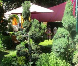 Atelier du samedi 30 juin 2019 - Les "Ravageurs" Atelier du samedi 30 juin 2019 - Les "Ravageurs" - Dos aux poulailler