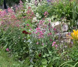 La Panouse 2019 La Panouse 2019 - Digne de Monet !