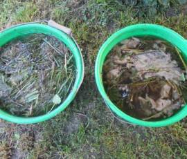 Atelier du samedi 30 juin 2019 - Les "Ravageurs" Atelier du samedi 30 juin 2019 - Les "Ravageurs" - Les 2 bouillons