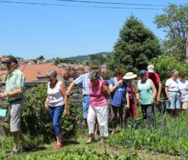 Atelier du samedi 30 juin 2019 - Les "Ravageurs" Atelier du samedi 30 juin 2019 - Les "Ravageurs" - Visite du potager
