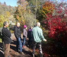 Taille des Arbres à noyaux du 25 octobre 2019 Taille des Arbres à noyaux du 25 octobre 2019 - Accueil