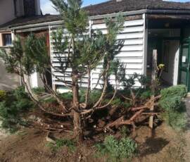 Visite à l'Association "Arc en ciel" à Chaudeyrac Visite à l'Association "Arc en ciel" à Chaudeyrac - Bien dégarni mais prêt à s'embellir
