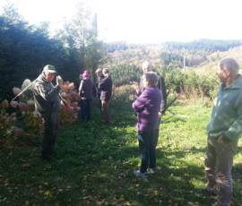 Taille des Arbres à noyaux du 25 octobre 2019 Taille des Arbres à noyaux du 25 octobre 2019 - Chacun s'extasie