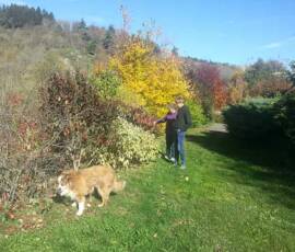 Taille des Arbres à noyaux du 25 octobre 2019 Taille des Arbres à noyaux du 25 octobre 2019 - Fin de la montée