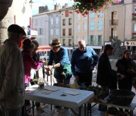 Troc de Graines et de Plants du samedi 18 septembre 2019 - Jean-Claude : toujours au cœur de l'action !