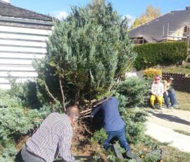 Visite à l'Association "Arc en ciel" à Chaudeyrac Visite à l'Association "Arc en ciel" à Chaudeyrac - L'If - situation avant & pendant