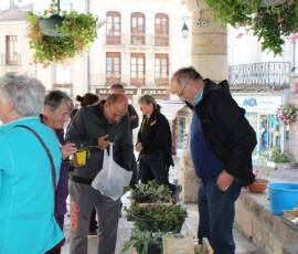 Troc de Graines et de Plants du samedi 18 septembre 2019 - La convivialité est toujours de mise