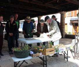 Troc de Graines et de Plants du samedi 18 septembre 2019 - L'association Arc-en-ciel a bien été représentée