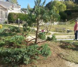 Mission de conseil à Chaudeyrac du 8 octobre 2019 Mission de conseil à Chaudeyrac du 8 octobre 2019 - Le résultat final