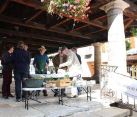 Troc de Graines et de Plants du samedi 18 septembre 2019 - Même cliché que l'année dernière