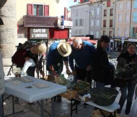 Troc de Graines et de Plants du samedi 18 septembre 2019 - On examine attentivement