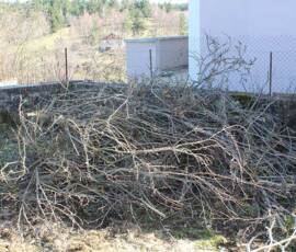 Atelier Taille vieux pommier du 14 mars 2020 Atelier Taille vieux pommier du 14 mars 2020 - Ce qui a été taillé !