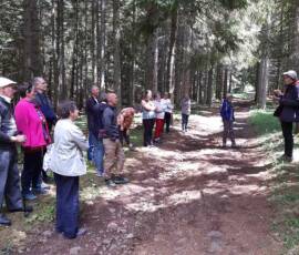 Sortie sylviculture du 20 juin en forêt de Pradelles - 2ième station